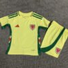 2024-25 Welsh away children's football jersey